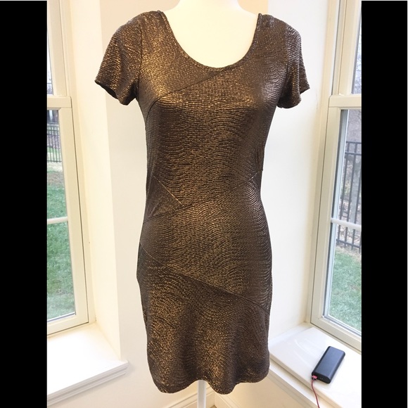 Free People Dresses & Skirts - Shimmering Free People bronze party dress!